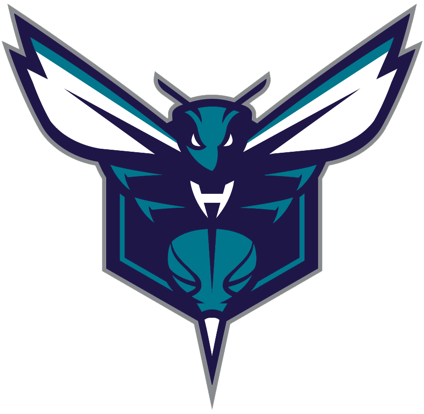Charlotte Hornets 2014-Pres Alternate Logo v2 DIY iron on transfer (heat transfer)